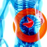 The Silent Killer: Understanding Kidney Disease and Taking Control of Your Health