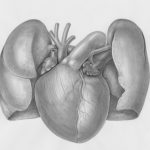 Unlocking the Secrets of Urinary Retention: Causes, Symptoms, and Solutions