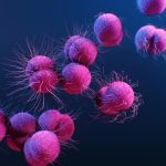The Burning Truth: Everything You Need to Know About Bladder Infections