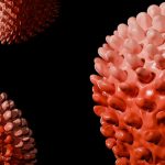 Title: Kidney Disease Uncovered: Early Signs, Prevention Tips, and Treatment Options You Need to Know