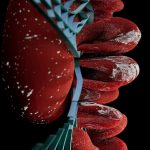 Title: Urology Uncovered: Your Complete Guide to a Healthy Urinary System (2000‑Word Deep Dive)